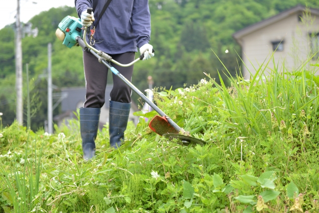 大川市で草刈りに最適な年3回の時期～楽に草刈りを終えるコツまで徹底解説