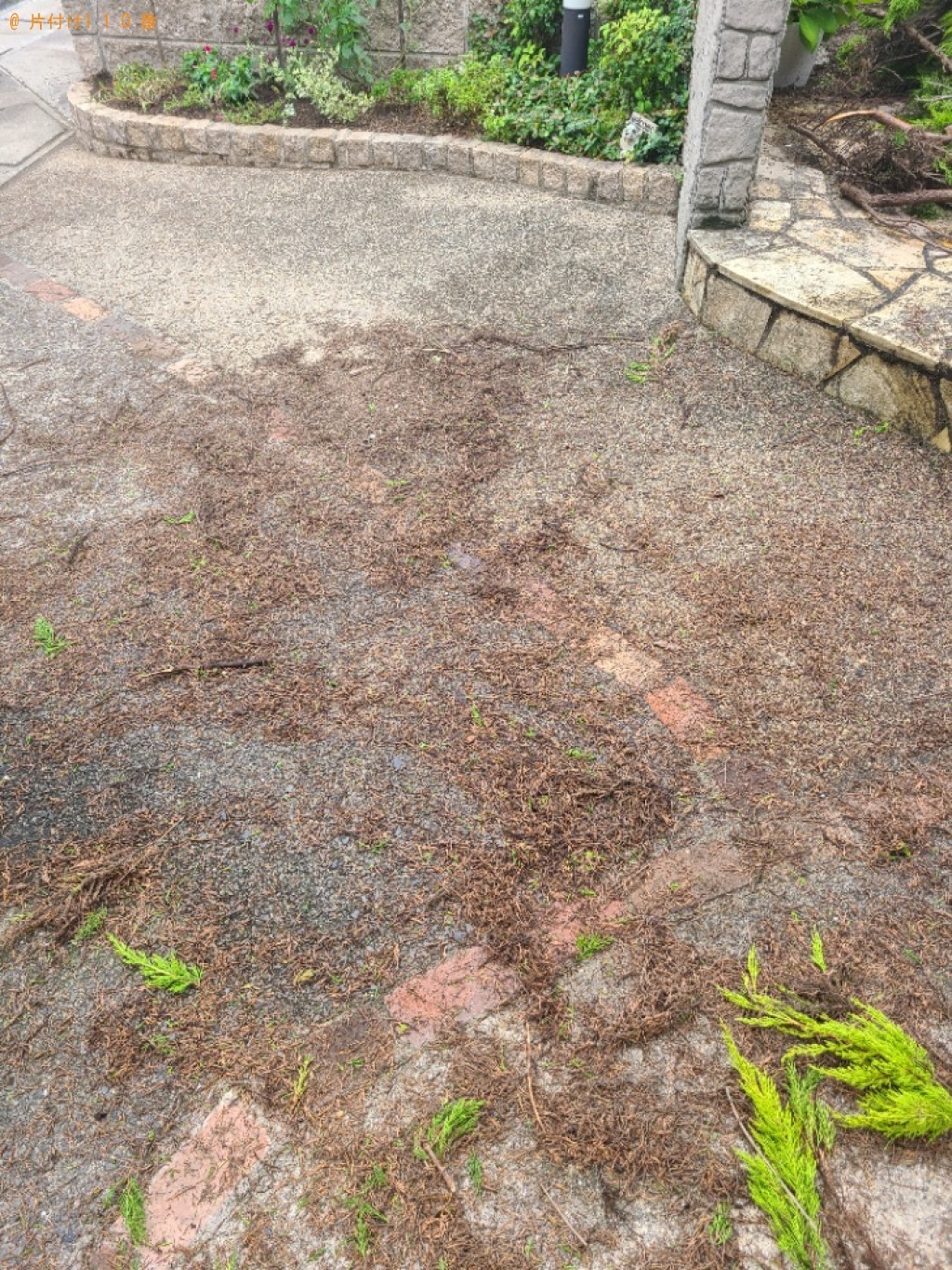 【行橋市】伐採した木の回収・処分ご依頼 お客様の声