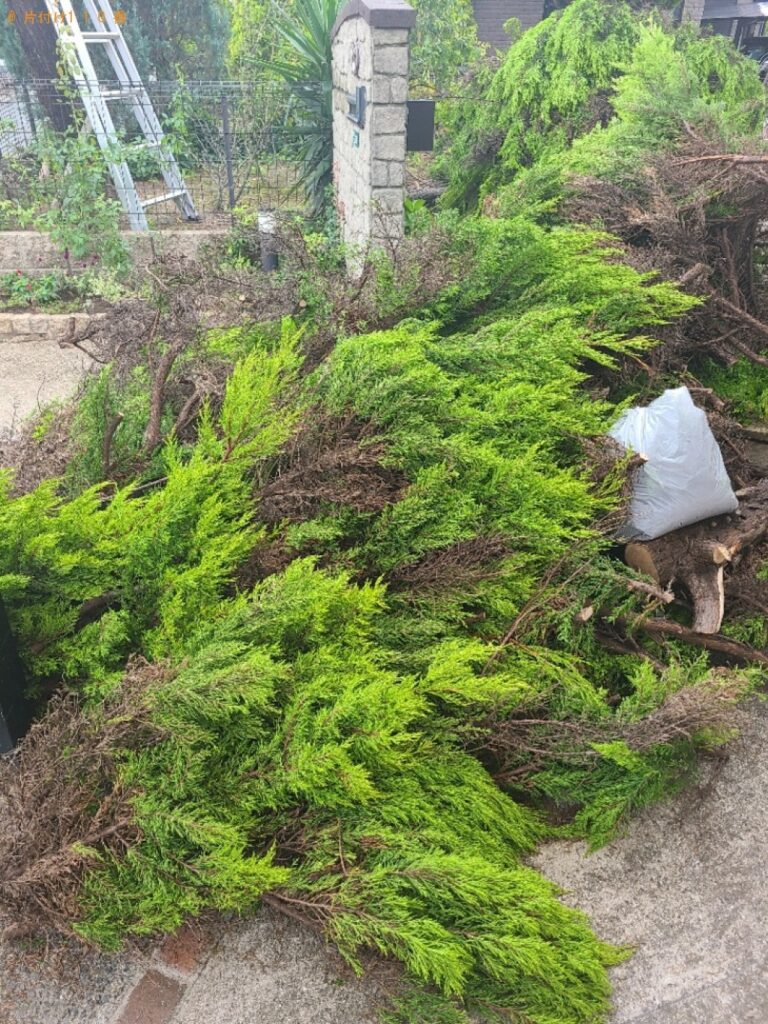 【行橋市】伐採した木の回収・処分ご依頼　お客様の声