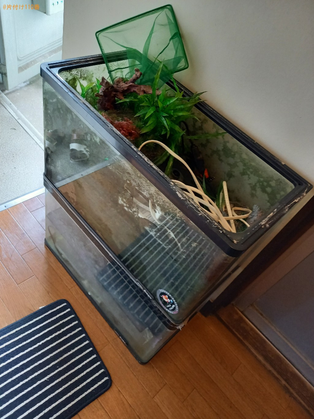 水槽、水槽用品、机、棚、段ボールの回収・処分ご依頼　お客様の声